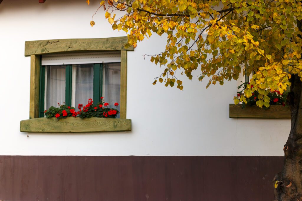 Ház